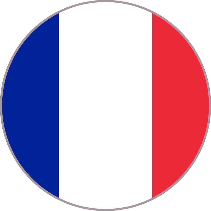 Language